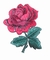 4 &quot;Red Rose Flower Bordir Besi Pada Patch Dengan Perekat Kembali